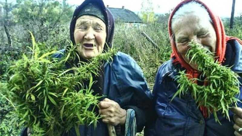 Крими бабка на 78 години от столичния "Люлин" го закъса здравата
