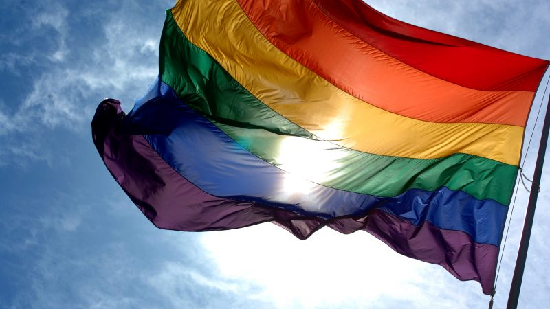 Съдийка в САЩ даде 15 години затвор на мъж, откраднал знаме на гейове 