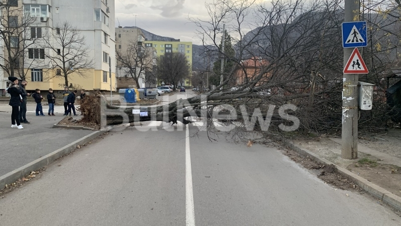 Бурята затвори улици във Враца, стълбове и дървета падат като круши СНИМКИ