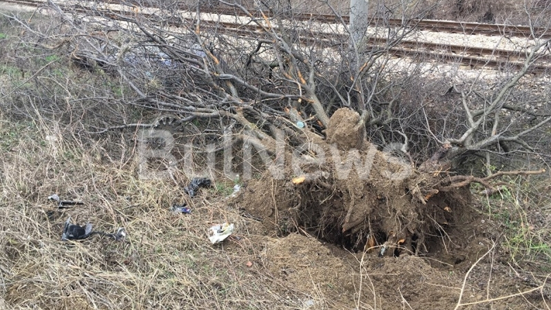 "Мицубиши" направи невиждана катастрофа във Врачанско! Изкорени дърво, а после... СНИМКИ