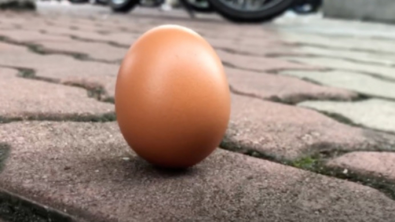 Светът полудя по този тест с яйце заради слънчевото затъмнение ВИДЕО 