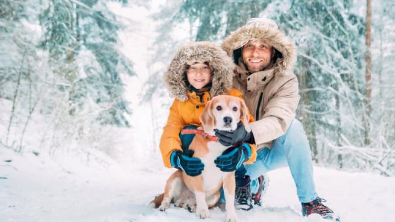 15 съвета, които ще ни помогнат да предпазим кучето си през зимата СНИМКИ