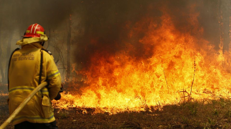 23-ма са вече загиналите от пожарите в Австралия