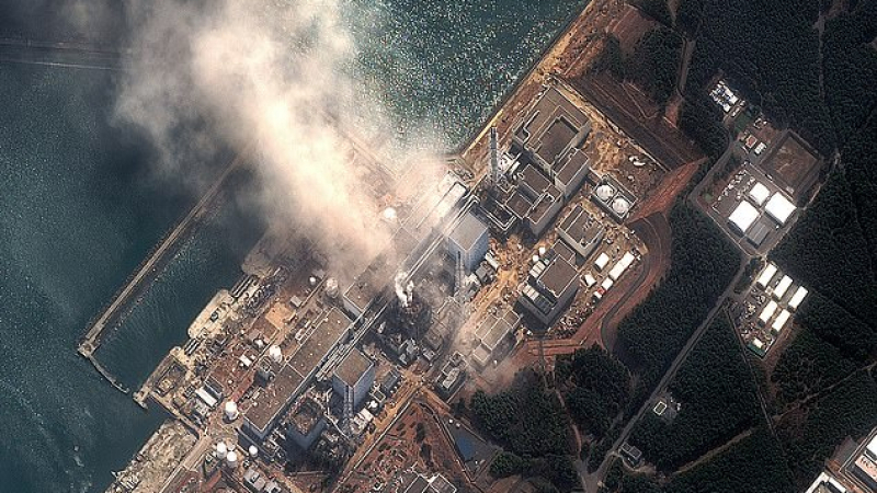 В забранената радиационна зона около АЕЦ "Фукушима" ври и кипи от живот!