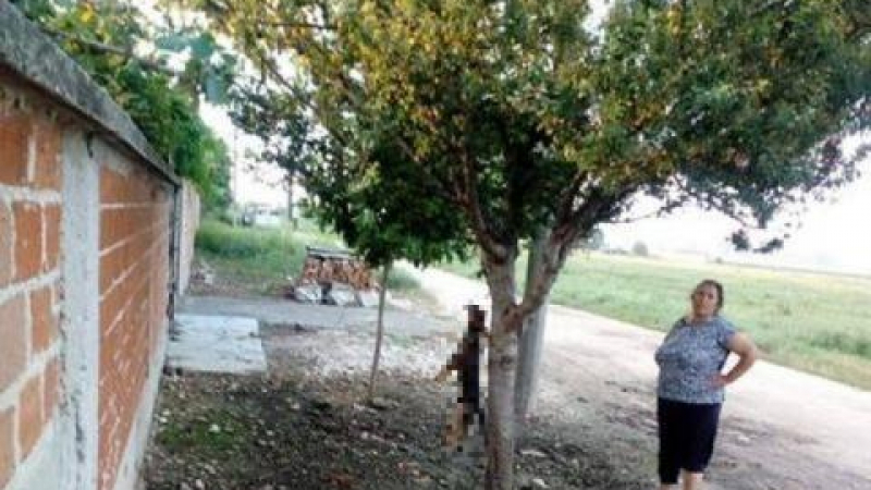 Циганката, която обеси кучето си на дърво: Стана ми много мъчно