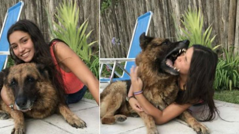 Момиче опита да направи фотосесия с кучето си, но после стана страшно СНИМКИ