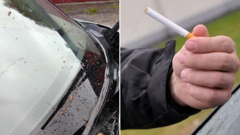 Как обикновена цигара ще ви помогне да поддържате чисто предното стъкло на колата