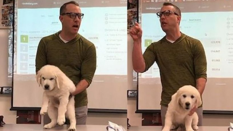 Преподавател заплаши учениците си, че ще убие това сладко кученце, ако... ВИДЕО 