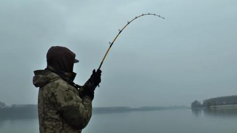 Уникално: Рибар извади гигантски сом с дължина почти 3 метра СНИМКИ