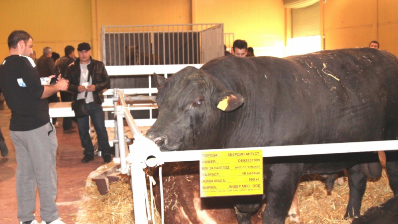 Животновъдството е новият хит на Международната селскостопанска изложба „Агра“