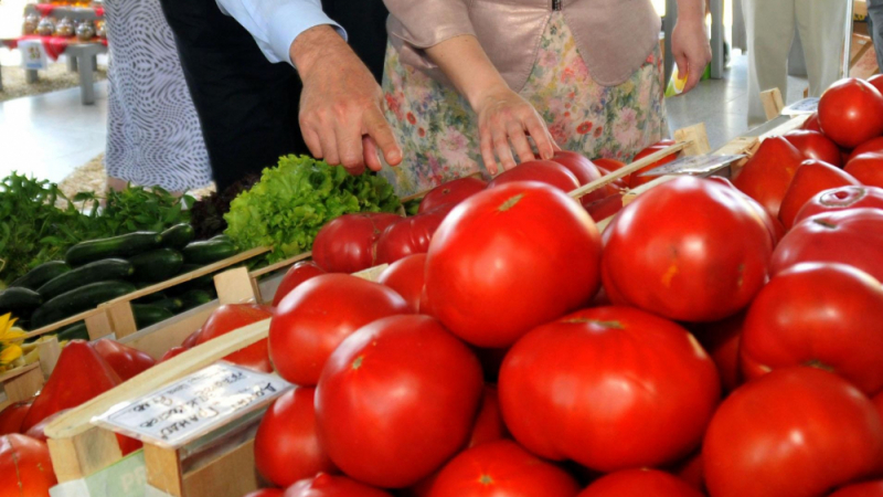 Българските домати изчезнаха, министърът съветва производителите да...