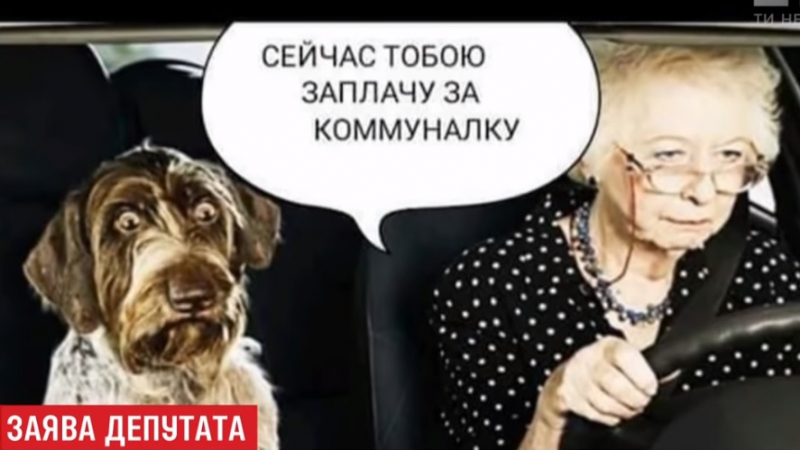 Депутат посъветва баба да продаде кучето си, за да си плати сметките ВИДЕО
