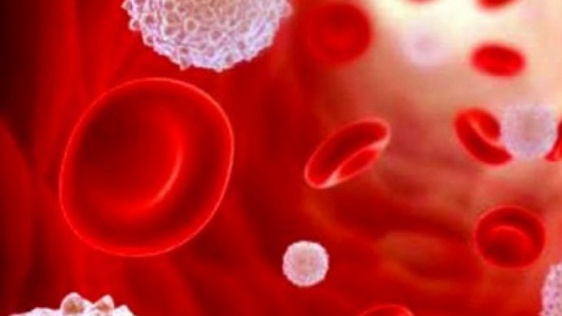 Откриха кръвните групи от какви видове рак се разболяват