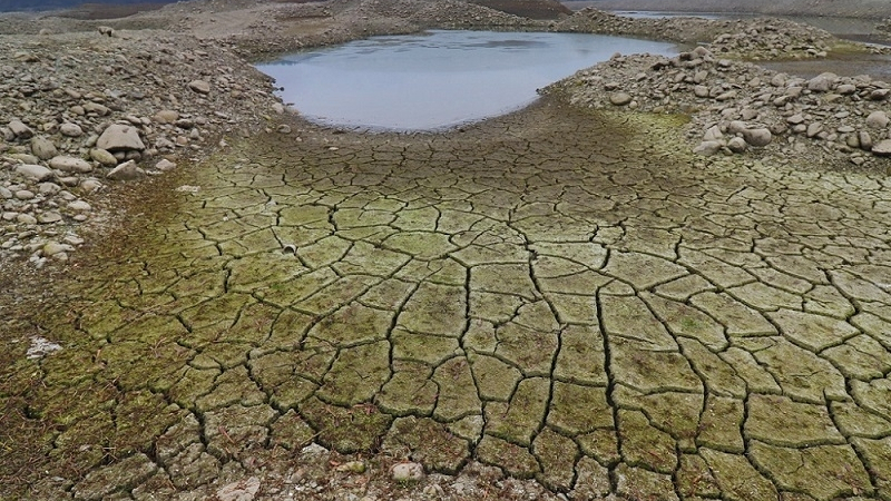 Невиждана суша у нас тази зима, ще стане ли още по-страшно? ВИДЕО 