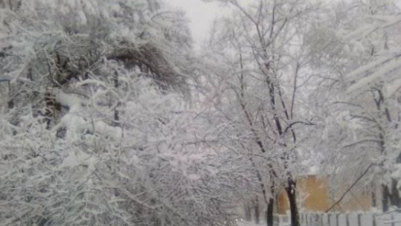 Снежната стихия блокира Враца, положението е апокалиптично СНИМКИ