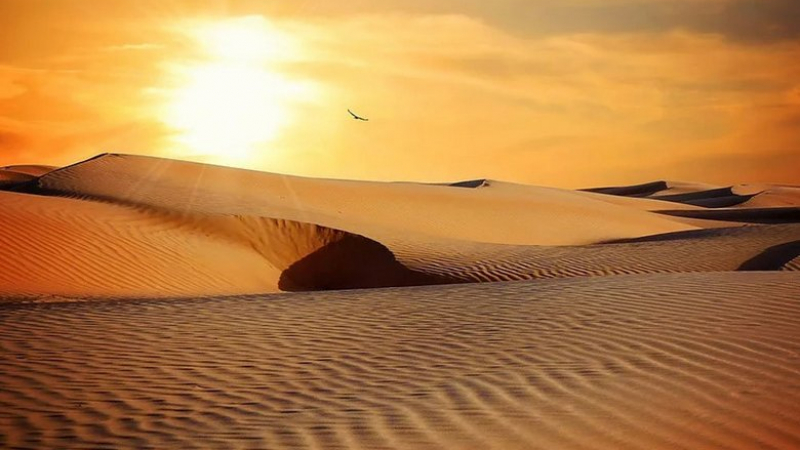 Взривяваща ума теория: Всичко е живо и има душа, дори и пясъкът