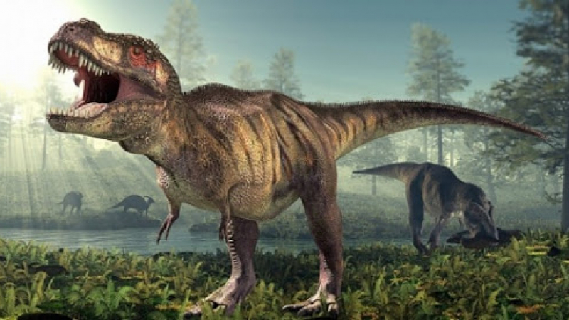 Праисторическа истина: Какви динозаври са живели в България ВИДЕО