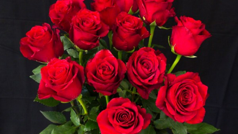 Няма да повярвате колко рози изнася Турция за Св. Валентин 