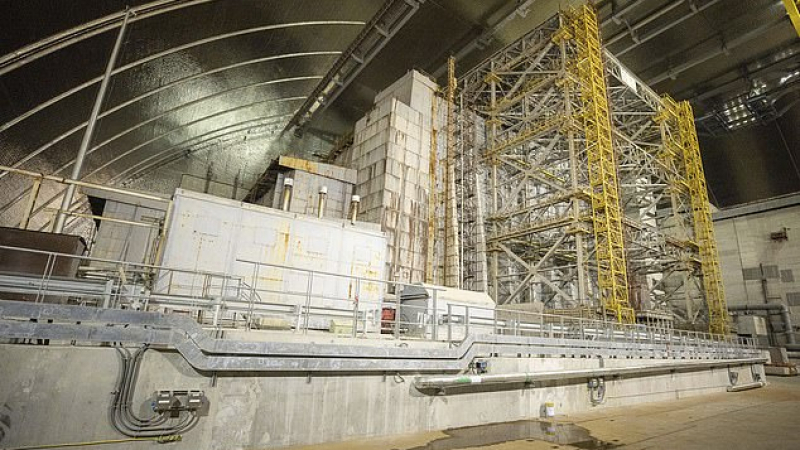 Daily Mail: Сензационно откритие в Чернобил може да спаси човечеството СНИМКИ