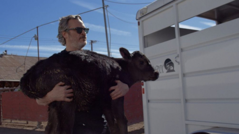 Хоакин Финикс спаси крава и телето й от кланицата ВИДЕО