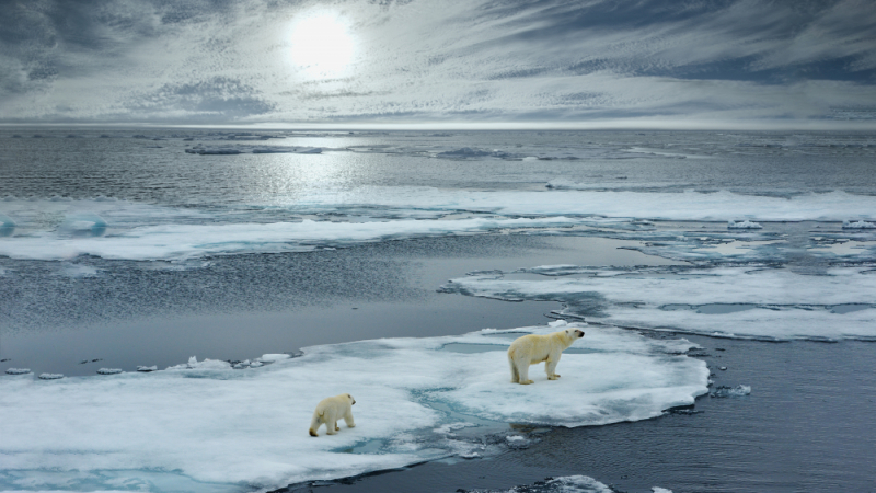 На Северния полюс няма часова зона и времето няма значение, но защо?