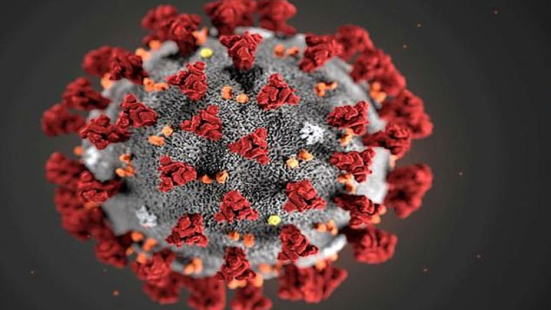Експерт от СЗО: Коронавирусът е "Болестта Х", която ще затрие 80 милиона души 