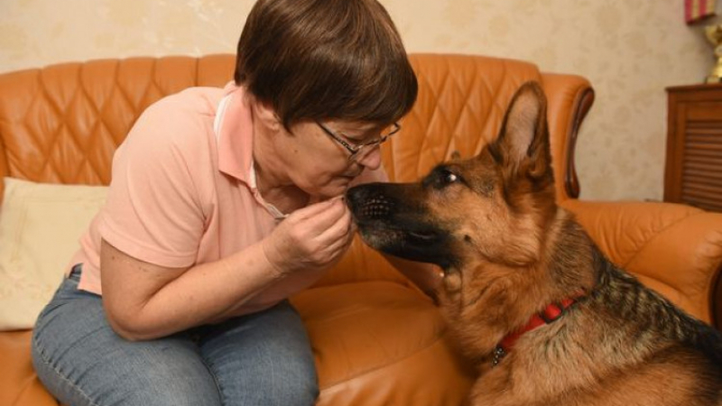 Кучета спасиха стопанката си от най-коварната болест СНИМКИ