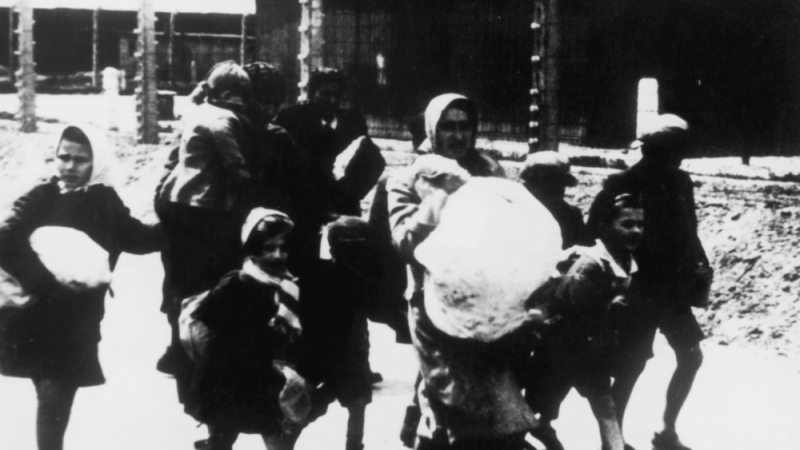 Смразяващи кръвта истории за извращения и майчина любов в Аушвиц СНИМКИ 18+