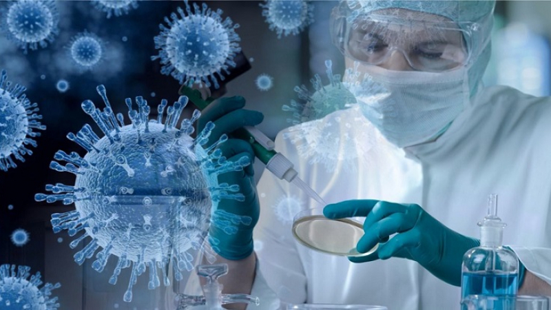 Вирусолози разкриха бъдещето на коронавируса 