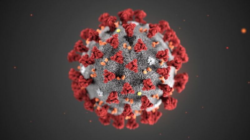 Учен от САЩ разкри защо няма да се отървем от коронавируса 
