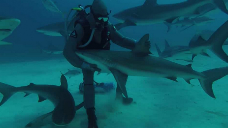Мъж направи нещо изумително с акула ВИДЕО