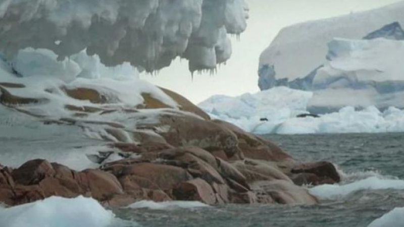 Учени шокирани от това, което откриха под леда в Антарктика 