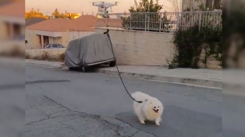 Изобретателност: Кипърец разхожда кучето си с дрон ВИДЕО