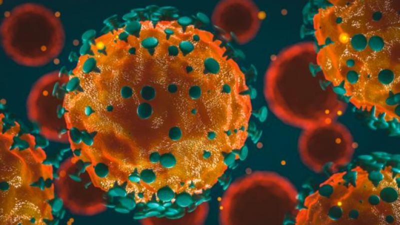 Учените не признават създаването на коронавируса