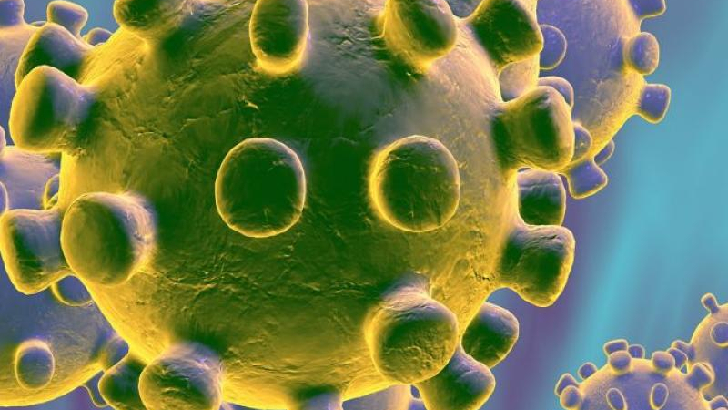Северна Корея поиска тайно международна помощ в тестването за коронавируса