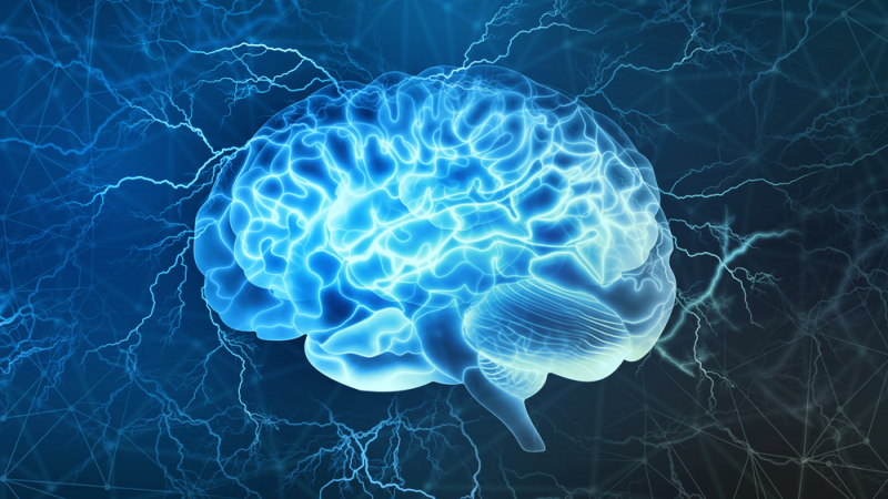Учени: Мозъкът започва да работи с пълна сила след 60-годишна възраст 