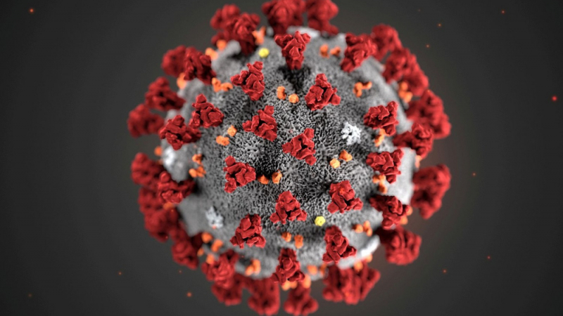 Учени от Йейл установиха коя среда убива коронавируса