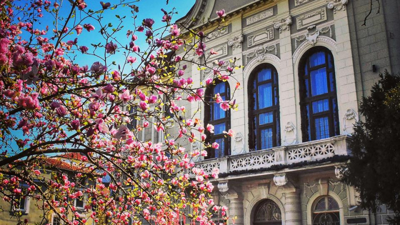 Община Пловдив ще финансира онлайн проекти на пловдивски творци по Културния календар