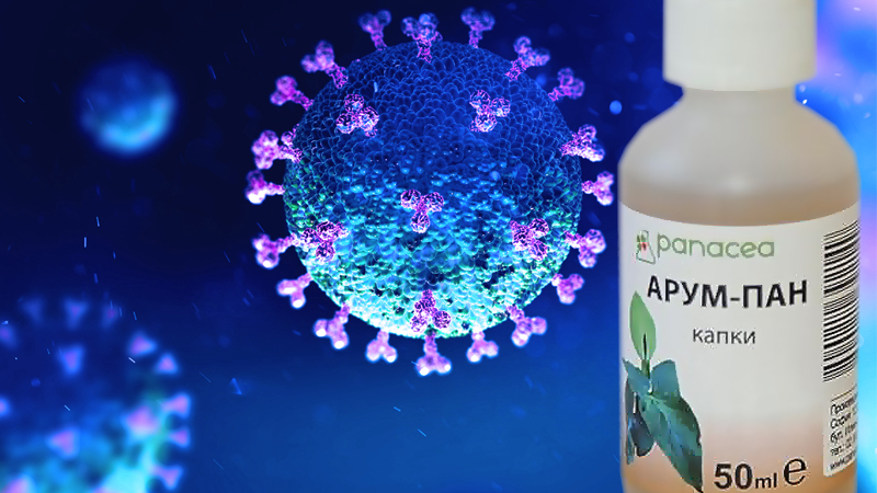 Растителен екстракт от Арум атакува коронавирусите