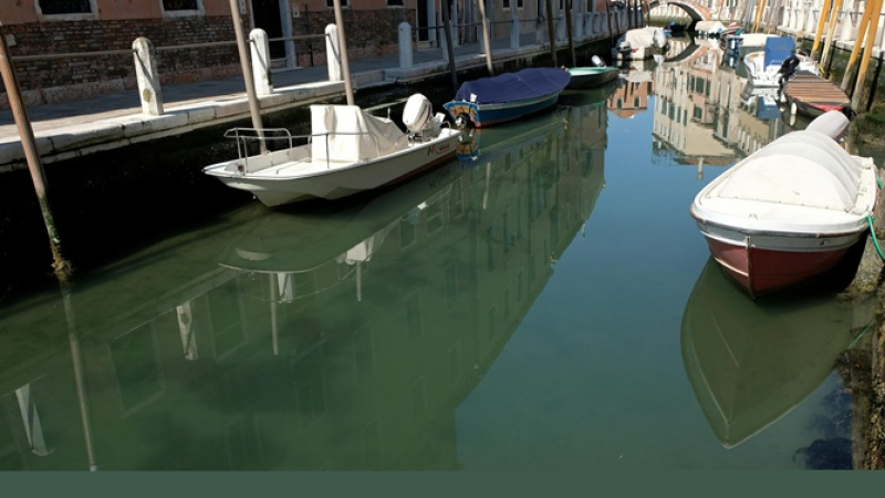 Нещо невероятно бе забелязано в опустелите канали на Венеция ВИДЕО