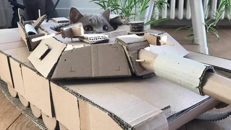 Феномен на К-19: Сладките котенца и техните танкове СНИМКИ