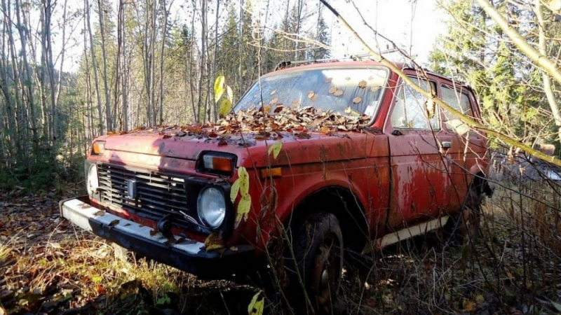 В Европа откриха гробище на стари съветски автомобили СНИМКИ