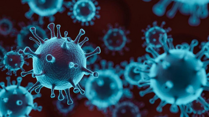 СЗО: Близо 87 000 новозаразени с коронавирус по света за денонощие