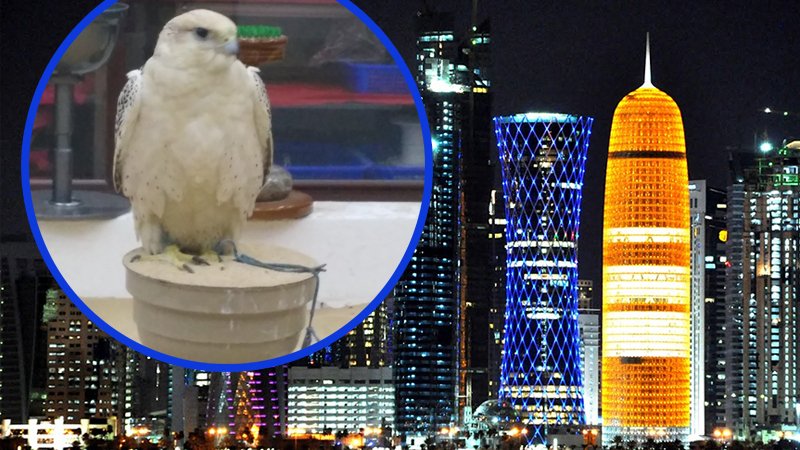 Мол за соколи в Доха