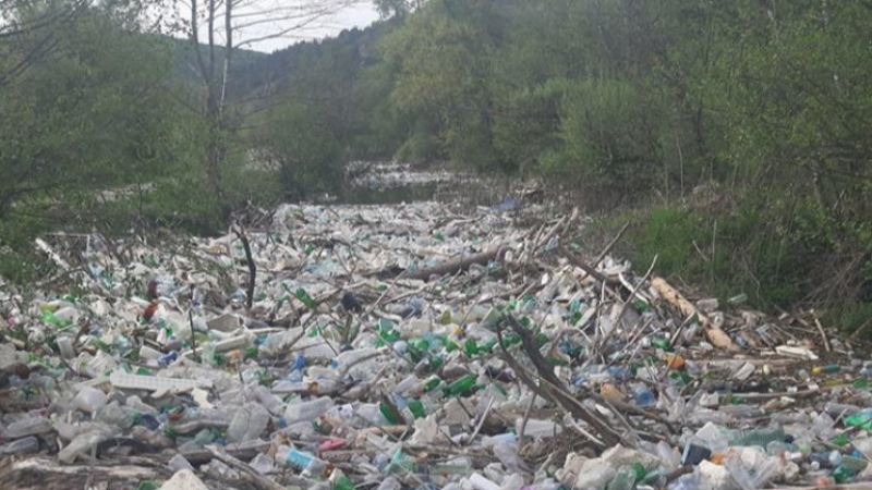 Мъртва риба и тонове боклуци задръстиха река Места