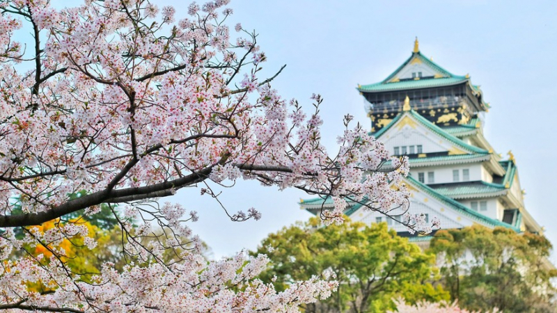 Невиждан срив от близо 100 процента на туризма в Япония
