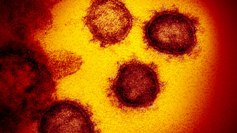 Учен от Норвегия смята, че коронавирусът е създаден от САЩ и Китай