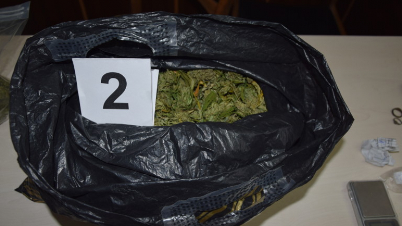 Спецакция в Сливен: иззеха 6 килограма марихуана, има задържани