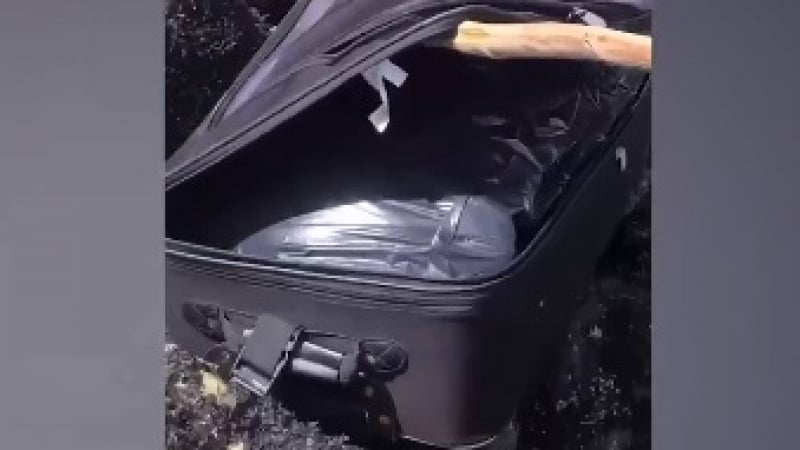 Ужас: Младежи отвориха "на живо" куфар, в който откриха човешки останки ВИДЕО