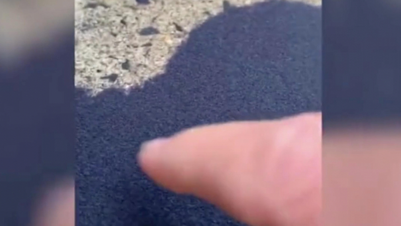Ужас: Жена намери хиляди миниатюрни извънземни в двора си ВИДЕО